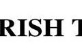 the irish times logo